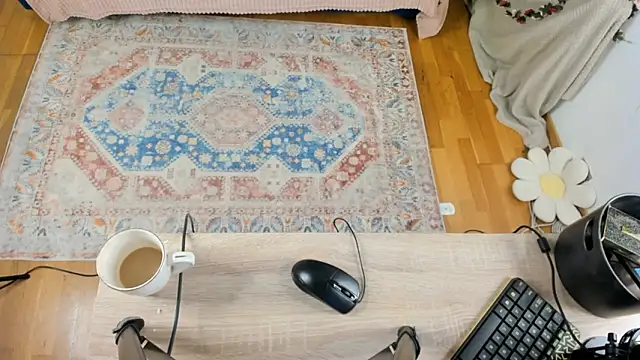 CipherMoth – Kamerová šou