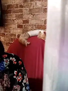 iforyouhere 라이브 XXX 채팅