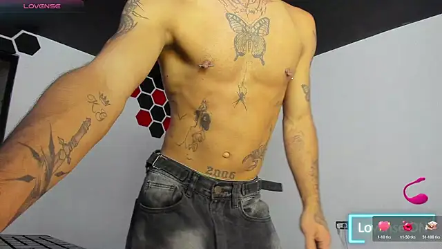 Show webcam de Wall_ee-