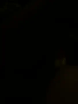 Callmedaddy9n Webbikameraesitys