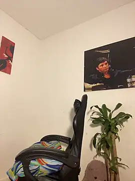 cam11_07 Show in webcam