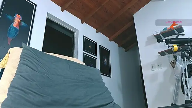 SilvaBranko Webcam Show