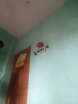 دردشة Master_Shiva الجنسية المباشرة