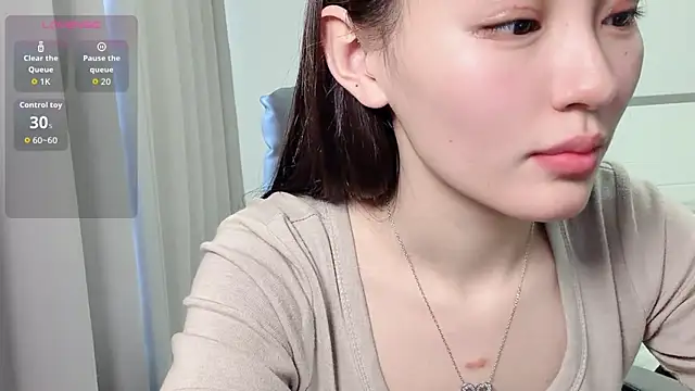 Show webcam de H-2005