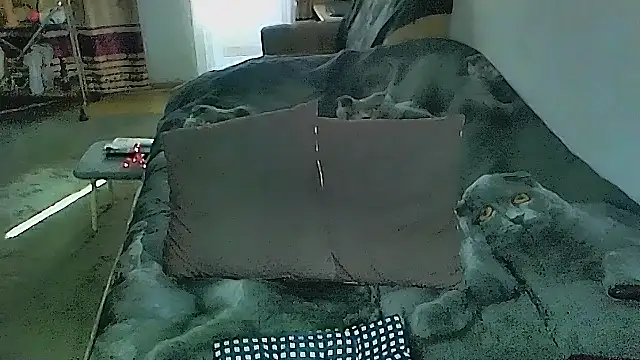 sex2's Live XXX Chat