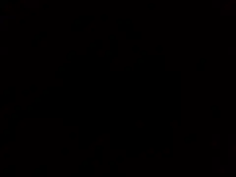 Show Webcam de Allinside666