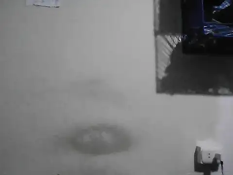 HardDick2のウェブカメラショー