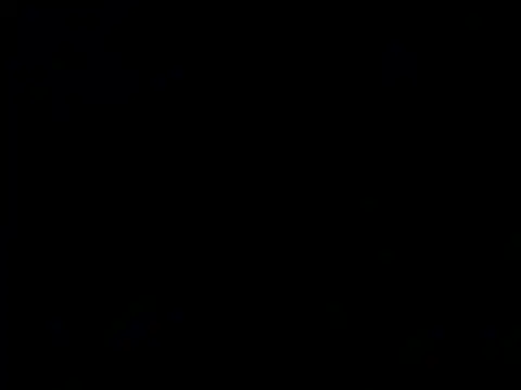 The_Oldbull Webcam Show