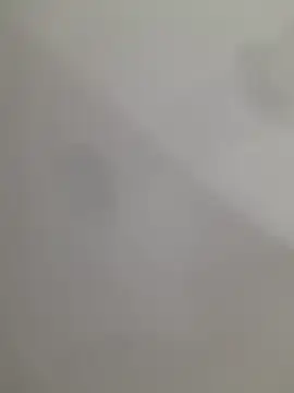 ratoncito_3 Webcam Show