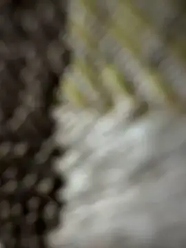 monster20cmのライブXXXチャット