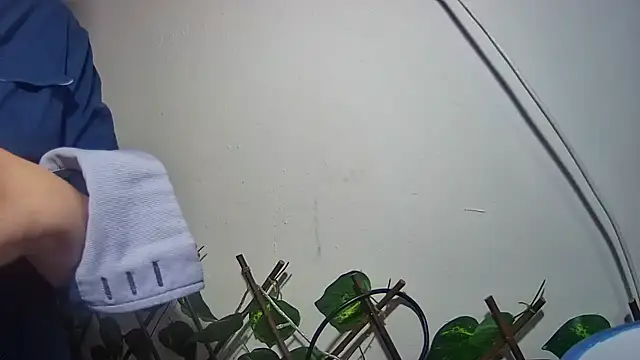 nicoltatiana_ Chat XXX in diretta