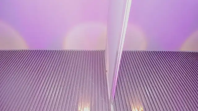 DAFNECOX Show in webcam