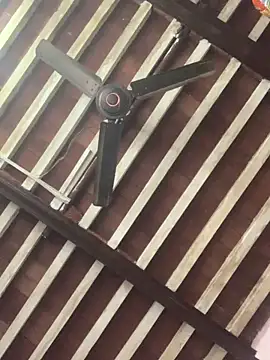 cutie_for_Beauty____: διαδικτυακό σόου στην κάμερα