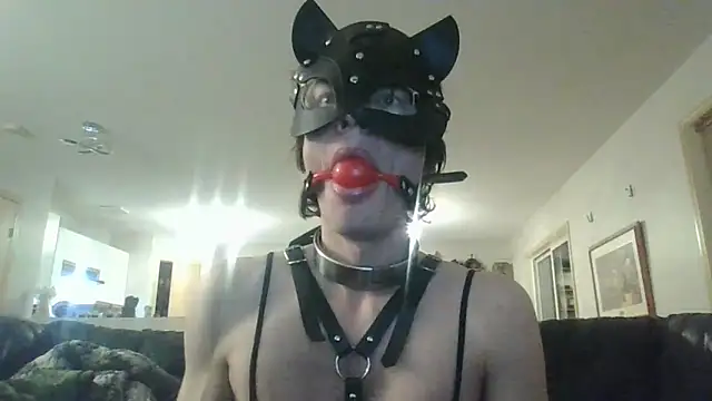 KinkyKittyBoy Live XXX-chat