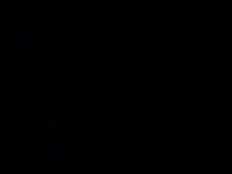 The_Oldbull Webcamshow