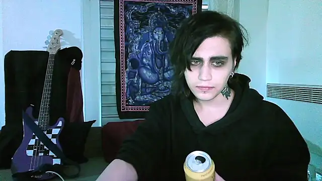 sademobeern Webbikameraesitys