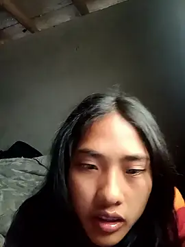 Hoa-tuylip Show Webcam