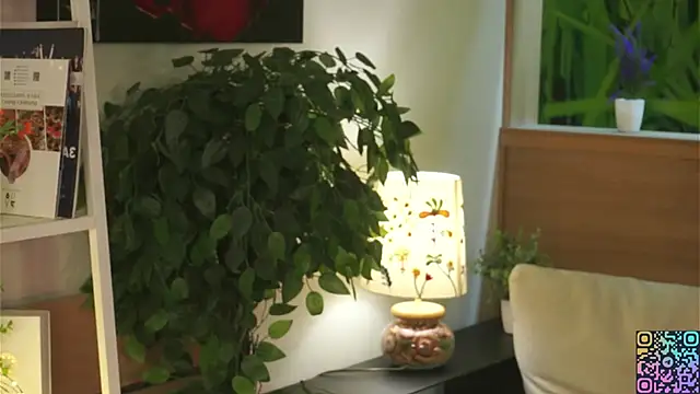 JoelleTasso Show in webcam