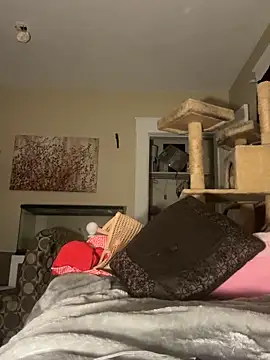 lexuslover687 Live XXX Chat