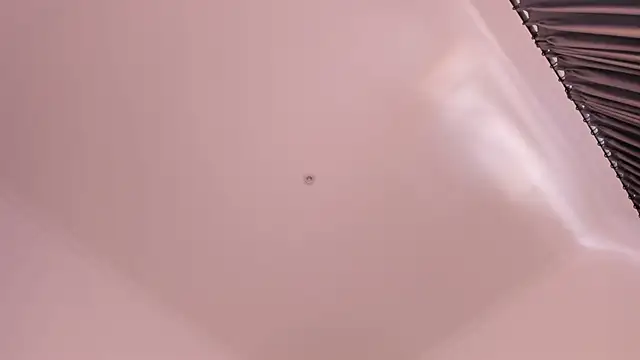 Timissi Live XXX-chat