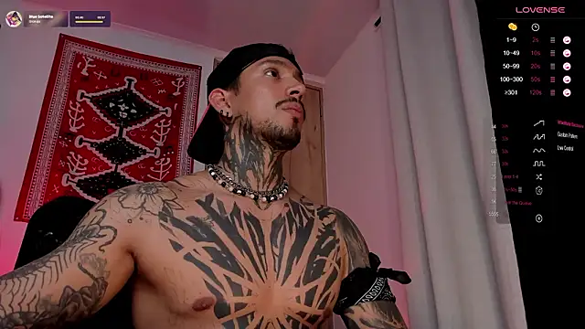 TigerStripes1_のウェブカメラショー