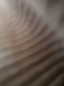 FionaMurr Obrolan Langsung XXX