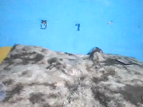 Chatroom XXX en direct de Xaviervtg