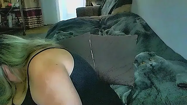 แชท XXX สดของ sex2