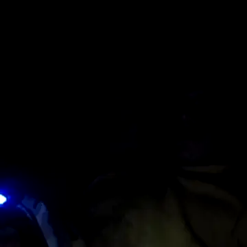 Chat +18 de Ortiz3404 ao vivo