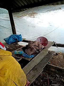 kalara_kail Live XXX Chat