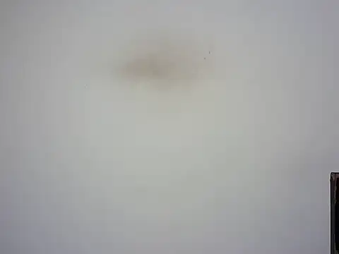 cutiee_-alia live XXX chat