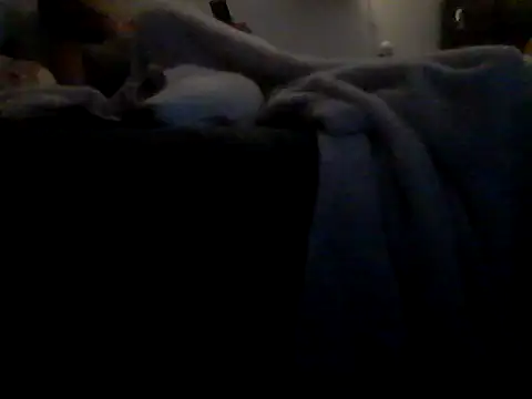 Silencio26 webkamerás műsora