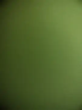 narutojeeva: διαδικτυακό σόου στην κάμερα