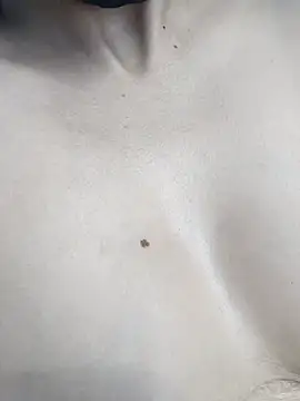 Онлайн чат XXX PUNAM456