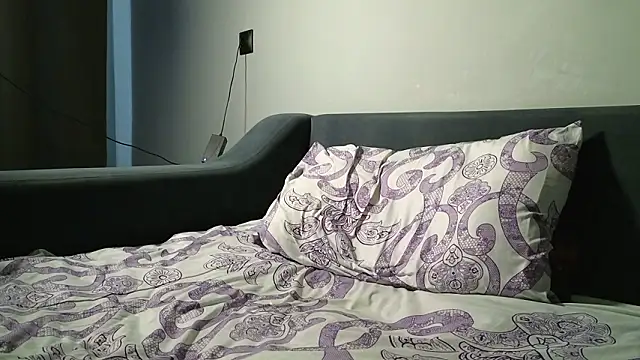 Show webcam de RichardLevitt