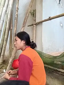 Hoa-tuylip Webcam show