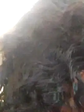 alana-silva – Live XXX-chat