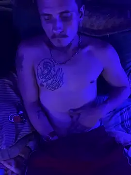 Show webcam de bugboy