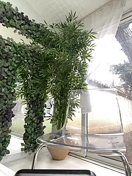 Lexi_Storm 现场XXX聊天