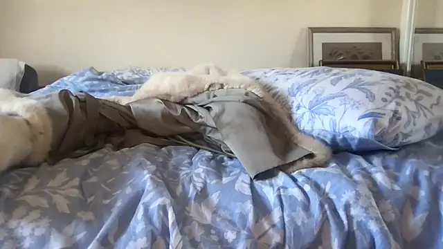 foxyroxymilf: απευθείας συνομιλία ΧΧΧ