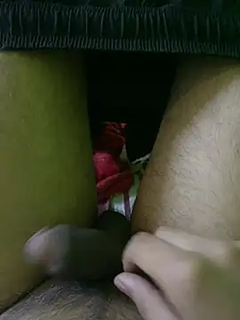 swami_jiのウェブカメラショー