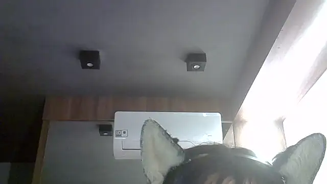 Chat +18 de SkinnyKitten ao vivo