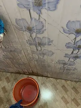 Hot-AngoriBhabhi 웹캠 쇼