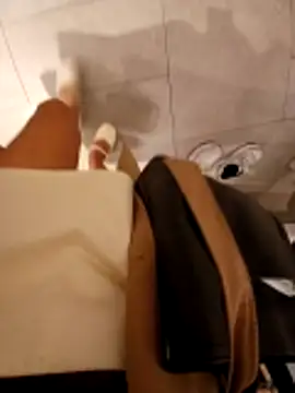 Show webcam de Ori-Lynk