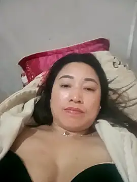 Toadc 网络视讯表演