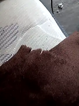 Вебкам-шоу Exquisito423