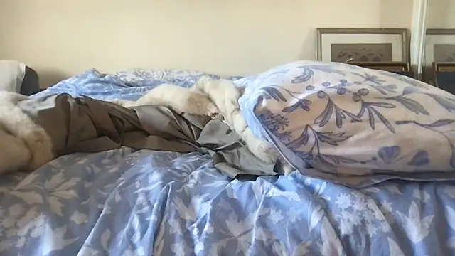 foxyroxymilf: вебкам-шоу