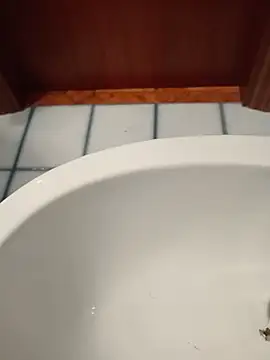 Durovoglioso2 – Kamerová šou