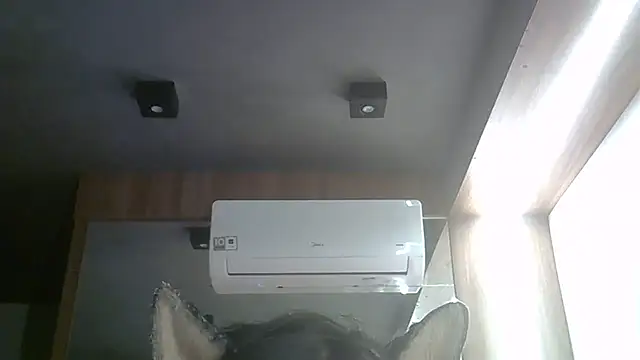 SkinnyKitten: онлайн-секс-чат