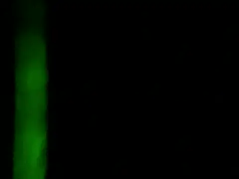 4EVAGLACIERS' Webcam Show